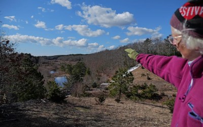 How a retired cranberry bog helped change the game for wetland restoration How a retired cranberry bog helped change the game for wetland restoration