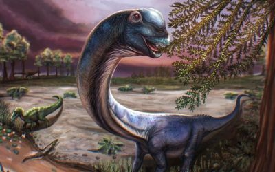 New species of giant dinosaur identified from remains found in Thailand New species of giant dinosaur identified from remains found in Thailand