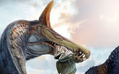 Newly discovered ‘hell heron’ adds evidence in longstanding dinosaur debate Newly discovered ‘hell heron’ adds evidence in longstanding dinosaur debate