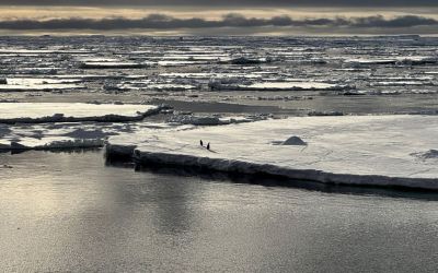 A ‘triple whammy’ of chaos has triggered a downward spiral in Antarctica, scientists discover A ‘triple whammy’ of chaos has triggered a downward spiral in Antarctica, scientists discover