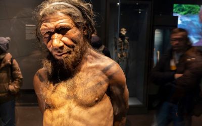 What happened when humans and Neanderthals hooked up What happened when humans and Neanderthals hooked up