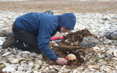 DNA reveals identities of 4 sailors from doomed 1845 Franklin expedition DNA reveals identities of 4 sailors from doomed 1845 Franklin expedition