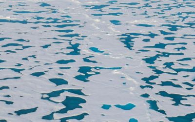 Arctic sea ice just dropped to an alarming new low Arctic sea ice just dropped to an alarming new low
