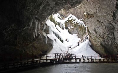 Ancient bacteria strain discovered in ice cave is resistant to some modern antibiotics Ancient bacteria strain discovered in ice cave is resistant to some modern antibiotics