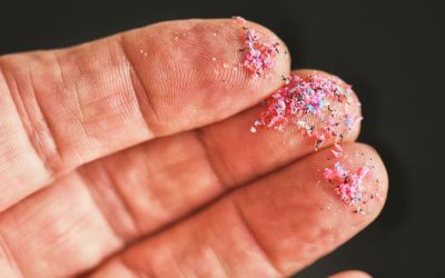 The Great Pacific Garbage Patch is a plastic trash nightmare. It could also be part of a much bigger, hidden problem The Great Pacific Garbage Patch is a plastic trash nightmare. It could also be part of a much bigger, hidden problem