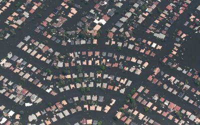 Rising seas will swallow New Orleans. People need to start relocating now, scientists say Rising seas will swallow New Orleans. People need to start relocating now, scientists say