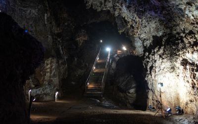 Digital reconstruction reveals the face of ‘Little Foot,’ a nearly 4 million-year-old human ancestor Digital reconstruction reveals the face of ‘Little Foot,’ a nearly 4 million-year-old human ancestor