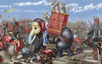 Ancient bone may be first physical evidence of Hannibal’s ‘war machine’ elephants in Western Europe Ancient bone may be first physical evidence of Hannibal’s ‘war machine’ elephants in Western Europe