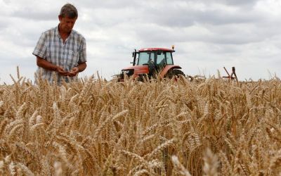 Timely rain helps EU grain crops after dry start to spring Timely rain helps EU grain crops after dry start to spring
