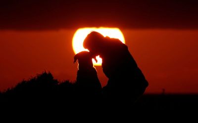 Genetic study identifies earliest-known dog, dating to 15,800 years ago Genetic study identifies earliest-known dog, dating to 15,800 years ago