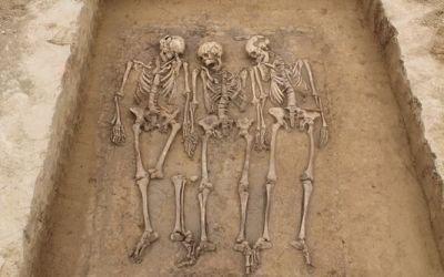 Genome study reveals what happened after the Roman Empire fell Genome study reveals what happened after the Roman Empire fell