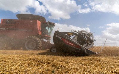 USDA winter wheat ratings hit 4-year low; corn 57% planted, soy 49% done USDA winter wheat ratings hit 4-year low; corn 57% planted, soy 49% done