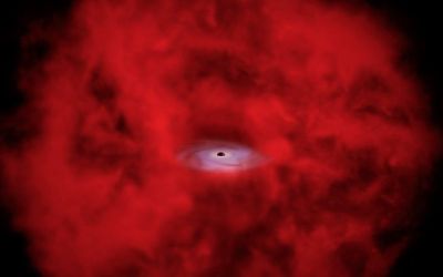 James Webb Space Telescope's strange little red dots may really be 'black hole stars', X-ray data suggests James Webb Space Telescope's strange little red dots may really be 'black hole stars', X-ray data suggests
