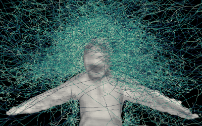 Hundreds of hungry mosquitoes, a student volunteer and a mesh suit helped us figure out how these deadly insects reach their targets Hundreds of hungry mosquitoes, a student volunteer and a mesh suit helped us figure out how these deadly insects reach their targets