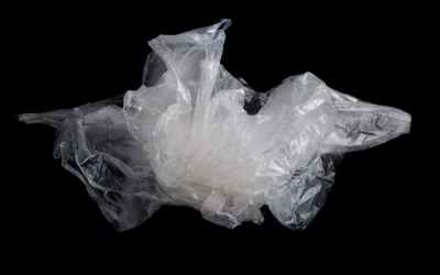 Researchers develop biodegradable, plant-based packaging from natural fibers – new research Researchers develop biodegradable, plant-based packaging from natural fibers – new research