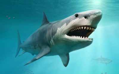 Millions of years ago, the megalodon ruled the oceans – why did it disappear? Millions of years ago, the megalodon ruled the oceans – why did it disappear?