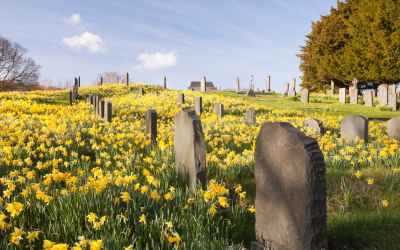 Boom in cremation hides surprising truths about what Americans really want when they die Boom in cremation hides surprising truths about what Americans really want when they die