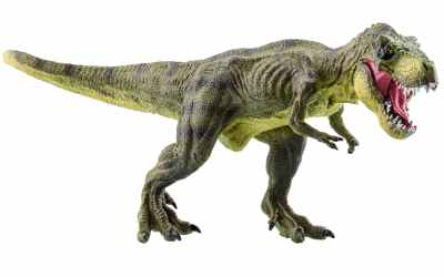 Why did ‘Tyrannosaurus rex’ have such short arms? Why did ‘Tyrannosaurus rex’ have such short arms?