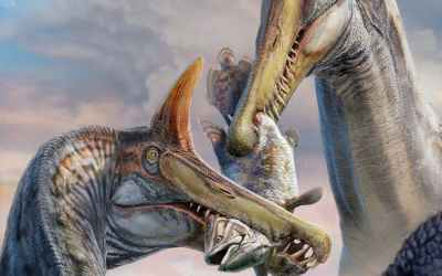 Paleontologists uncover a new ‘Spinosaurus’ species by following a clue from a decades-old book into the Sahara Desert Paleontologists uncover a new ‘Spinosaurus’ species by following a clue from a decades-old book into the Sahara Desert