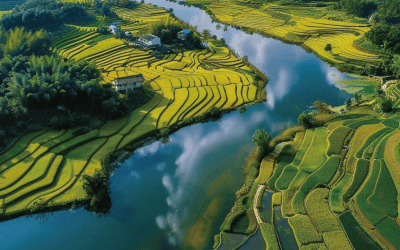 Rice feeds billions of people – but its role in fueling climate change is growing Rice feeds billions of people – but its role in fueling climate change is growing
