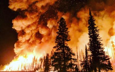 Scientists See Growing Risk of 'Hothouse Earth' as Warming Gains Pace Scientists See Growing Risk of 'Hothouse Earth' as Warming Gains Pace