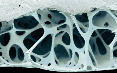 Building with air – how nature’s hole-filled blueprints shape manufacturing Building with air – how nature’s hole-filled blueprints shape manufacturing