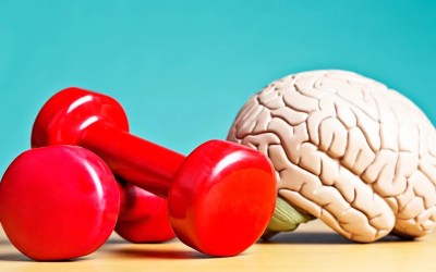 Your brain can be trained, much like your muscles – a neurologist explains how to boost your brain health Your brain can be trained, much like your muscles – a neurologist explains how to boost your brain health