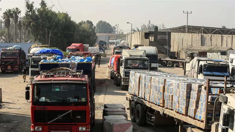 Israel halts humanitarian aid to Gaza Israel halts humanitarian aid to Gaza