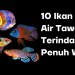 Sepuluh Ikan Hias Air Tawar Dengan Warna Yang Memukau Sepuluh Ikan Hias Air Tawar Dengan Warna Yang Memukau
