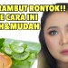 Cara Mengatasi Rambut Rontok Dengan Perawatan Alami Cara Mengatasi Rambut Rontok Dengan Perawatan Alami