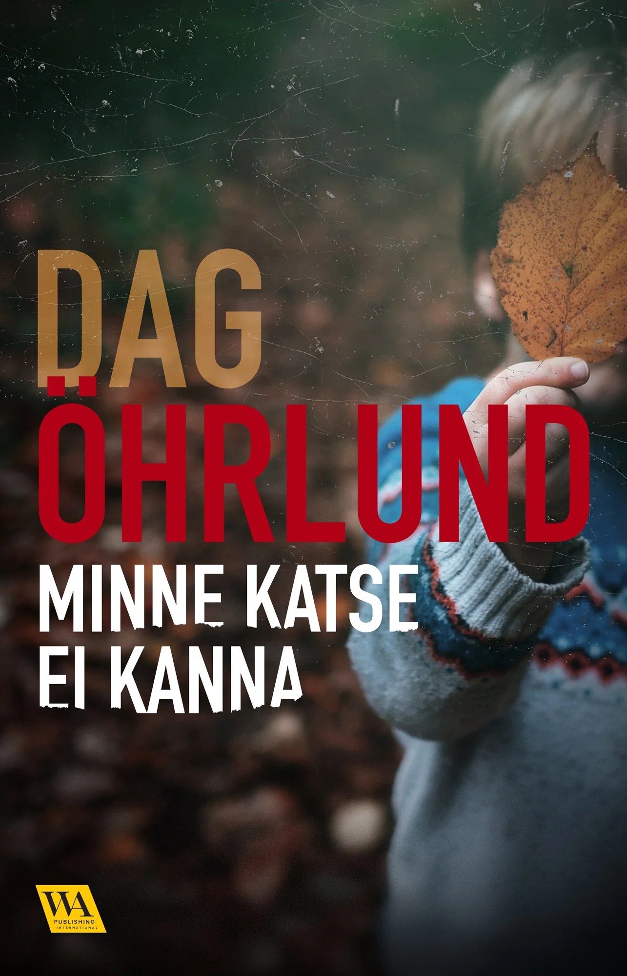 Minne katse ei kanna – E-bok – Laddas ner