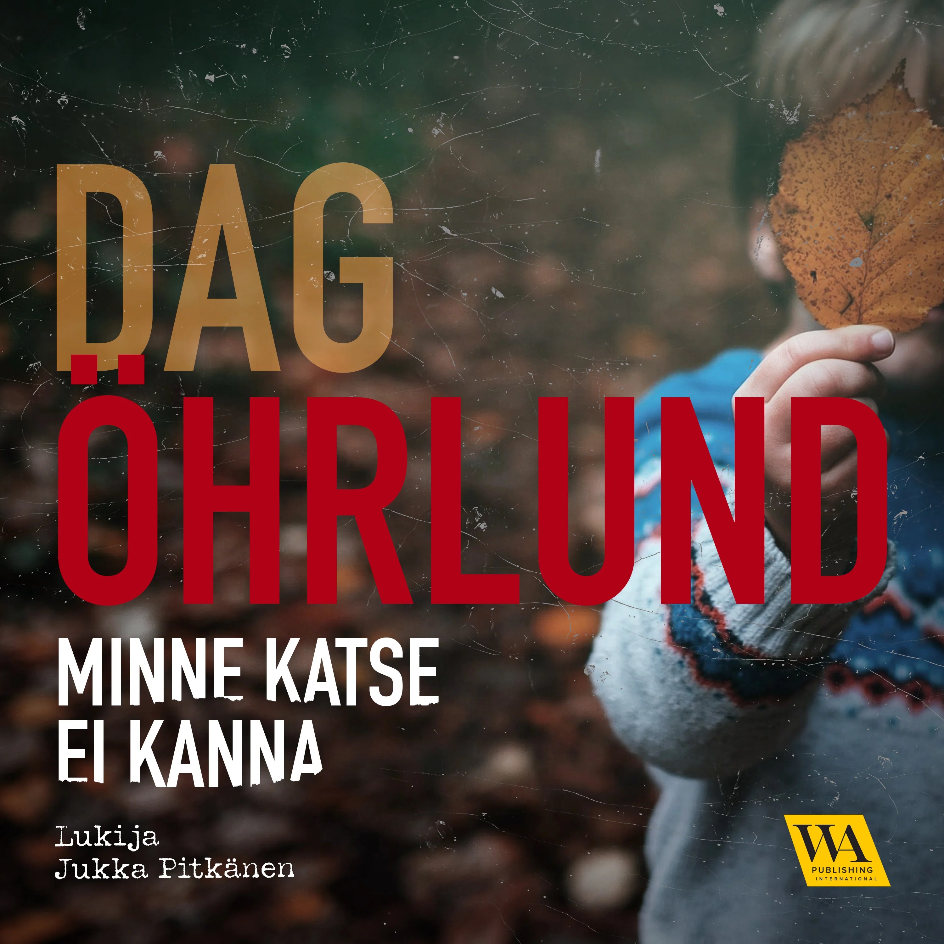 Minne katse ei kanna – Ljudbok – Laddas ner