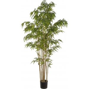 Bambu konstväxt höjd 210 cm