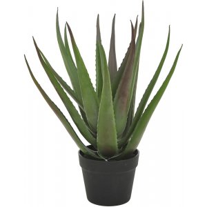 Sunday konstväxt 50 cm – Alovera