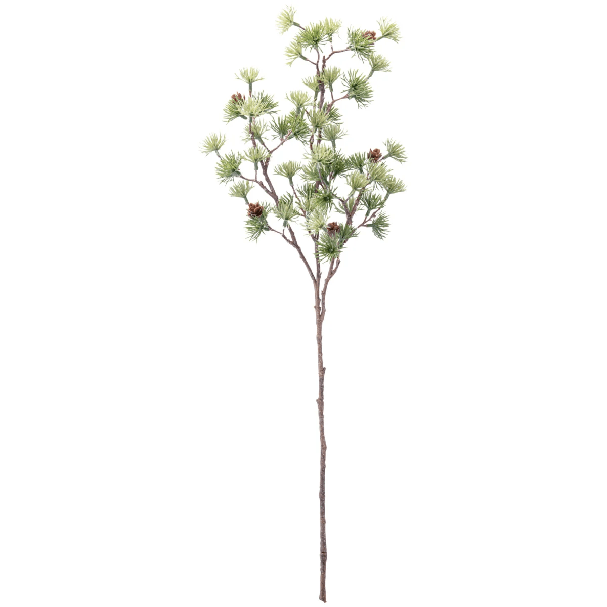 Cederkvist Kianga; 26.5×0.7×71 cm (BxDxH); Grön/Brun; 2 Styck / Förpackning