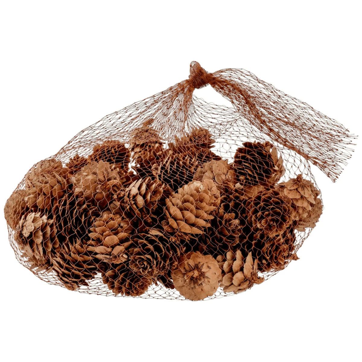 Grankottar Brinda; 2 cm (Ø); Brun