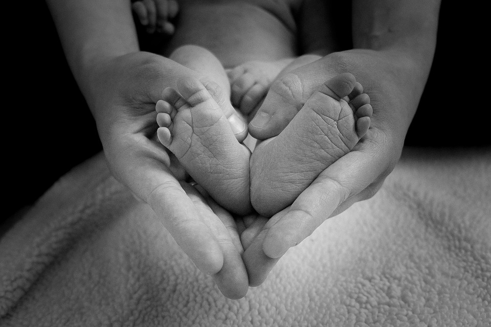 Nurturing Wellness: A Mother’s Guide to Health During Pregnancy Nurturing Wellness: A Mother’s Guide to Health During Pregnancy