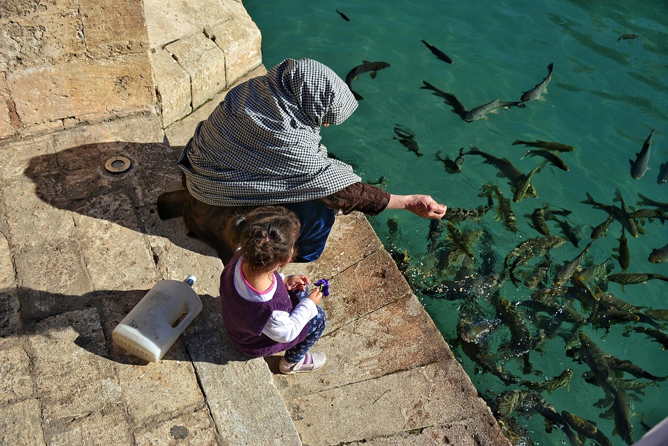 “Mindful Mama: Practices for Emotional Well-being in Today’s Busy World” “Mindful Mama: Practices for Emotional Well-being in Today’s Busy World”