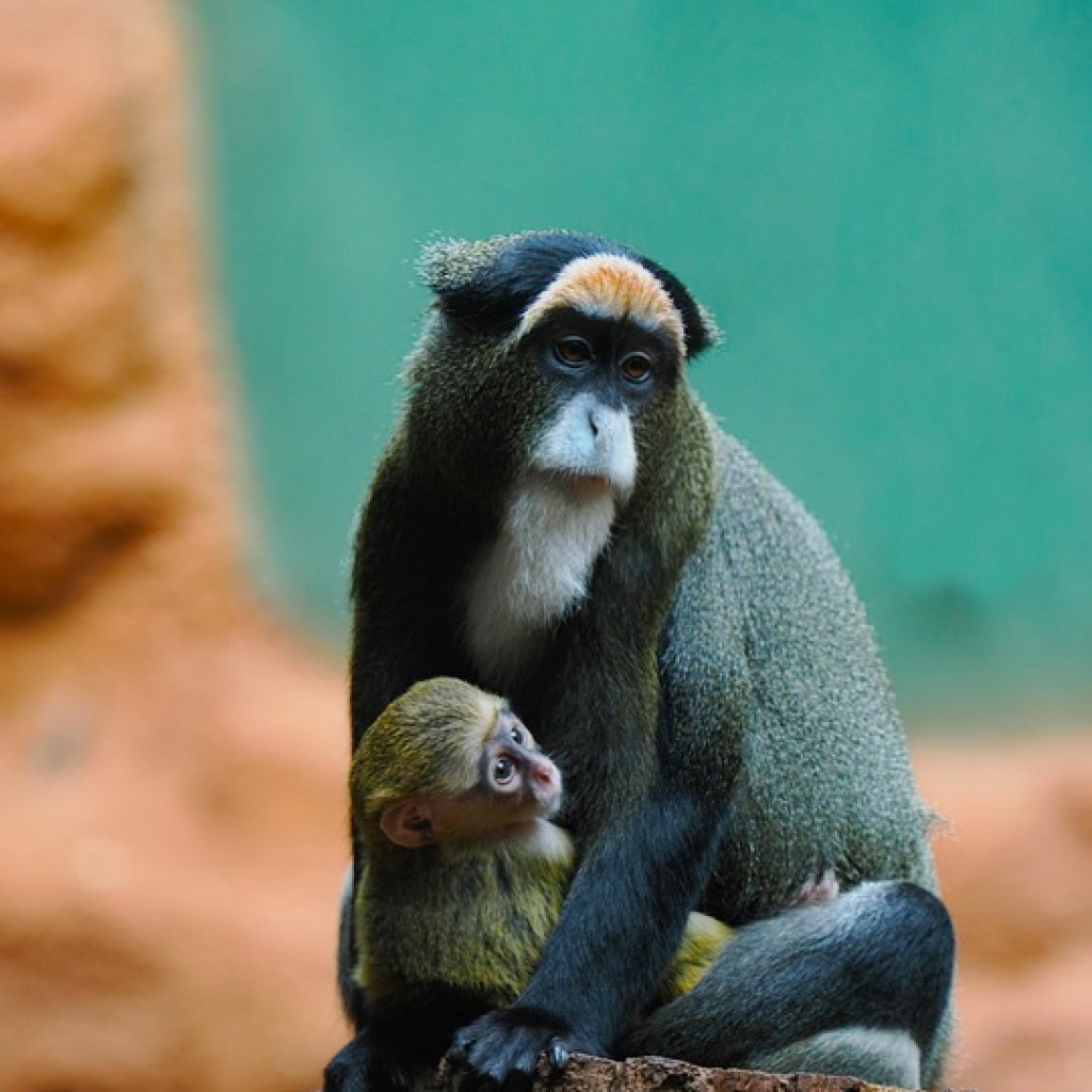 Five Mindfulness Techniques for Stress-Free Parenting Five Mindfulness Techniques for Stress-Free Parenting
