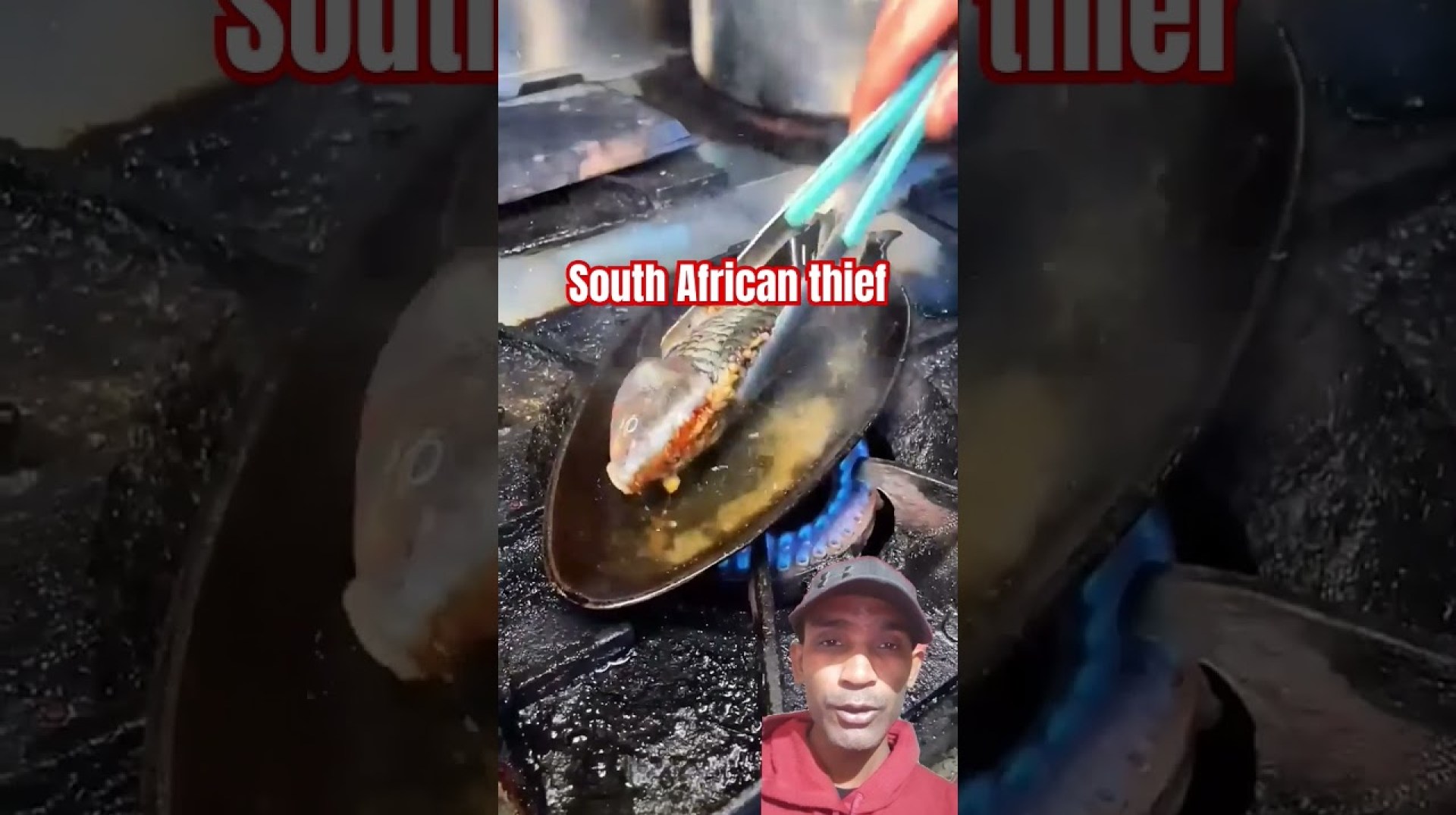 South African fish recipe #seafoodstew #fishstew #spicymukbange #food #food South African fish recipe #seafoodstew #fishstew #spicymukbange #food #food