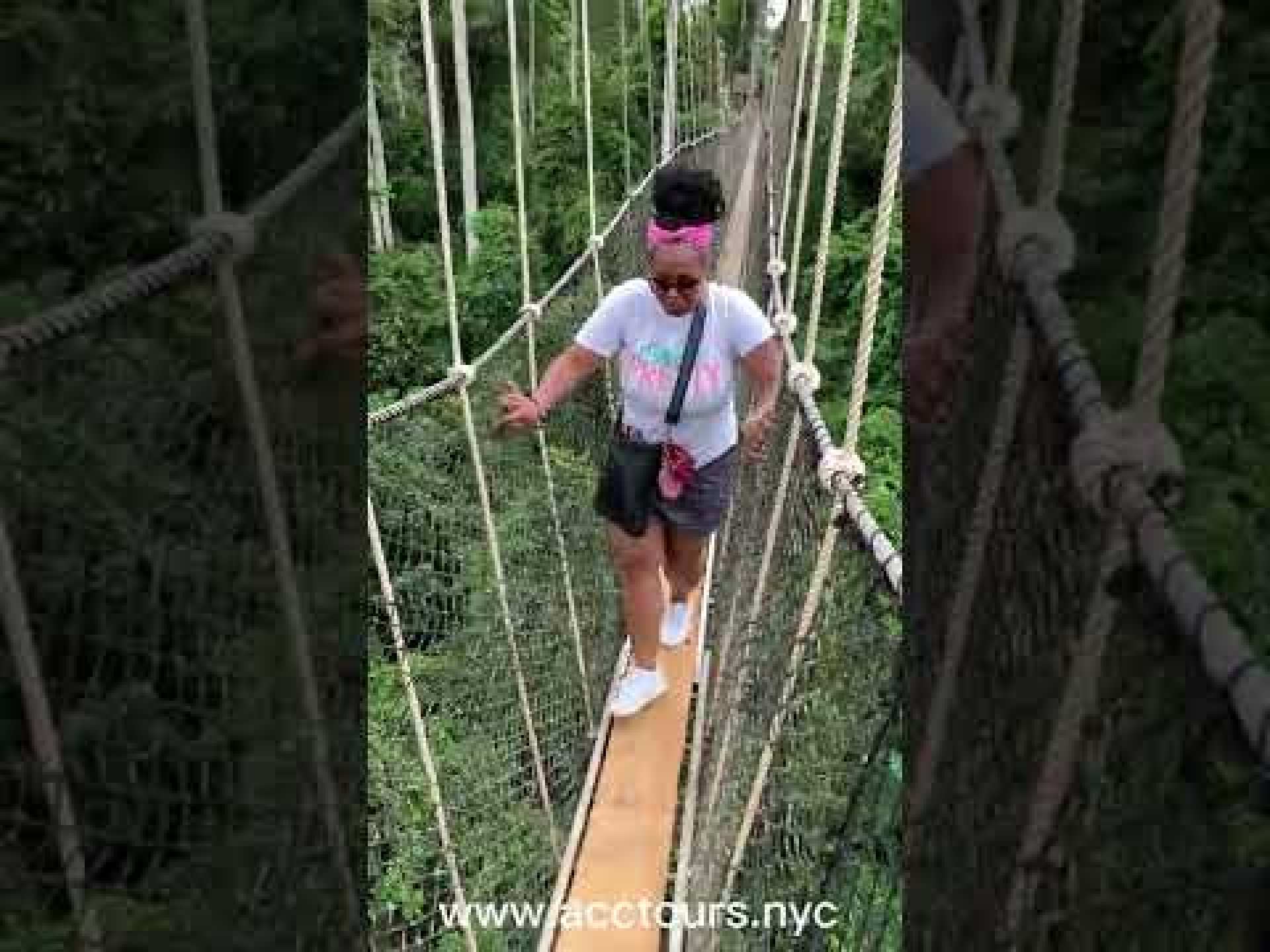 Welcome to KAKUM NATIONAL PARK in CAPE COAST- Day Trip from Cape Coast – Ghana – Africa Welcome to KAKUM NATIONAL PARK in CAPE COAST- Day Trip from Cape Coast – Ghana – Africa