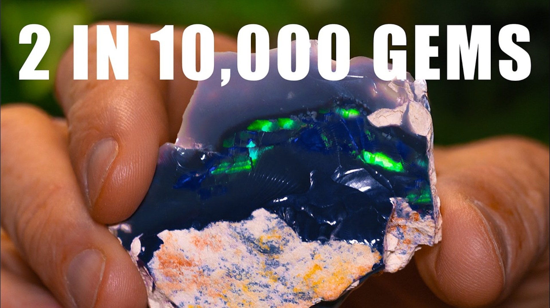 IT HAPPENED AGAIN – ROUGH OPAL TURNS HARLEQUIN PATTERN IT HAPPENED AGAIN – ROUGH OPAL TURNS HARLEQUIN PATTERN