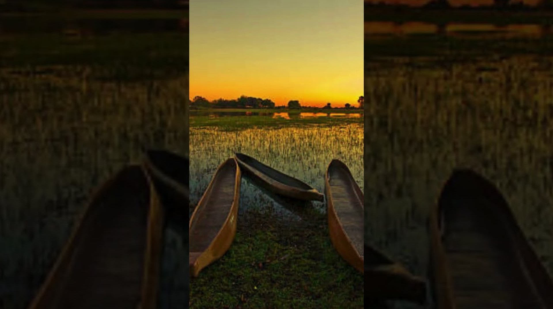 Botswana's Success Story: A Model for Sustainable Development #history #education #documentary Botswana's Success Story: A Model for Sustainable Development #history #education #documentary