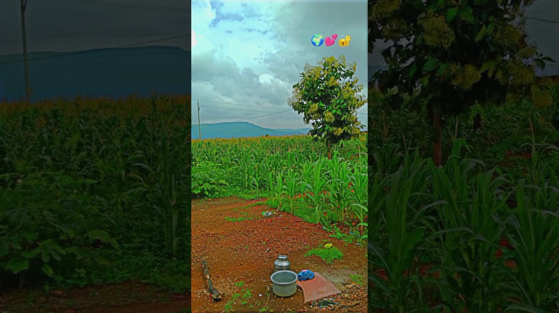 #agriculture#farming #farmer #dailyvlog #nature #naturecreation #subscribe #travel #shorts #video #m #agriculture#farming #farmer #dailyvlog #nature #naturecreation #subscribe #travel #shorts #video #m