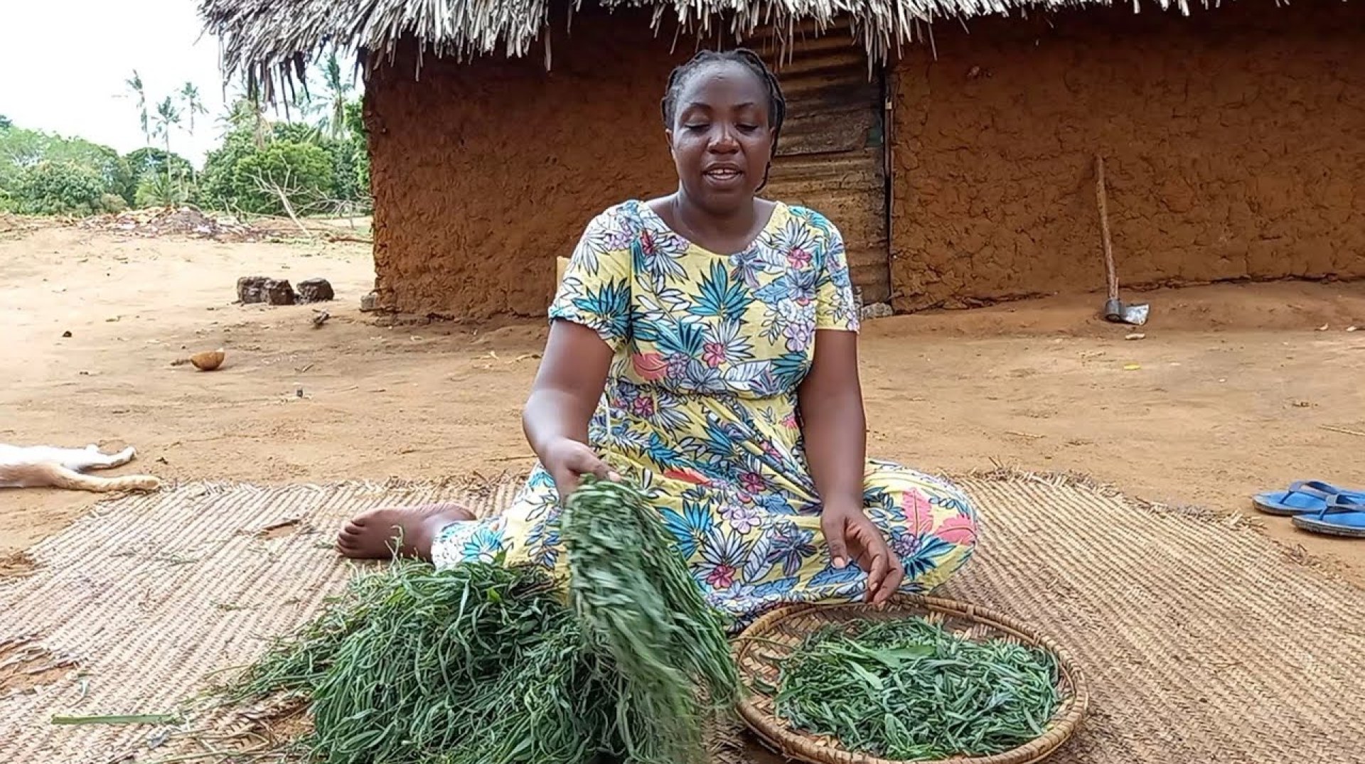 African Village Life//Cooking Most Delicious Village Vegetables//Mutsunga Wa Utsungu African Village Life//Cooking Most Delicious Village Vegetables//Mutsunga Wa Utsungu