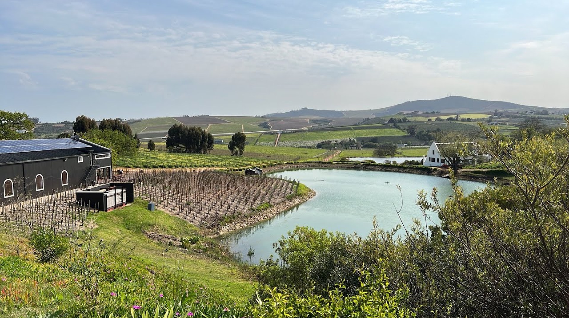 South Africa – Aaldering Vineyards and Wines. A Breathtaking Gem in Stellenbosch South Africa – Aaldering Vineyards and Wines. A Breathtaking Gem in Stellenbosch