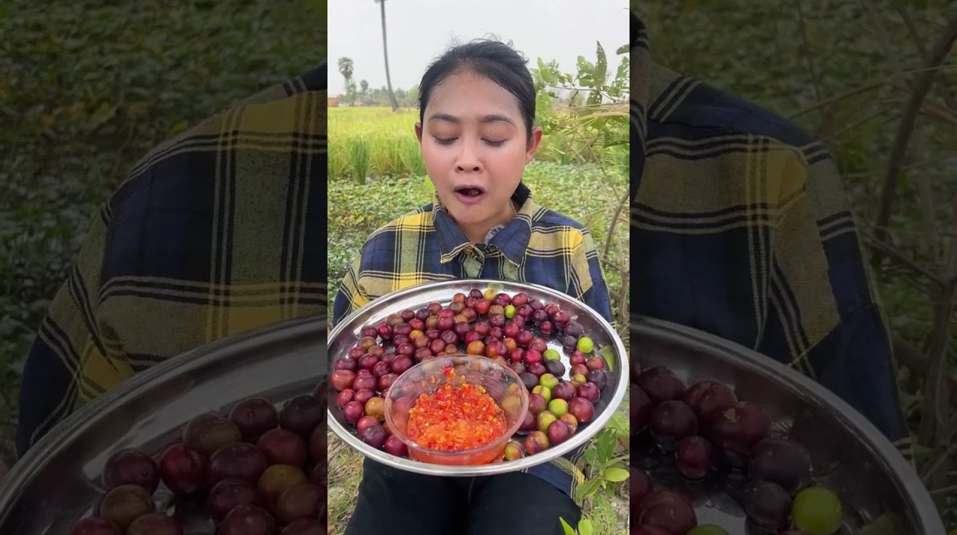 Wild Madagascar Plum Chewing with spicy salt #freshbites #eatingshow #food #satisfyingbites Wild Madagascar Plum Chewing with spicy salt #freshbites #eatingshow #food #satisfyingbites