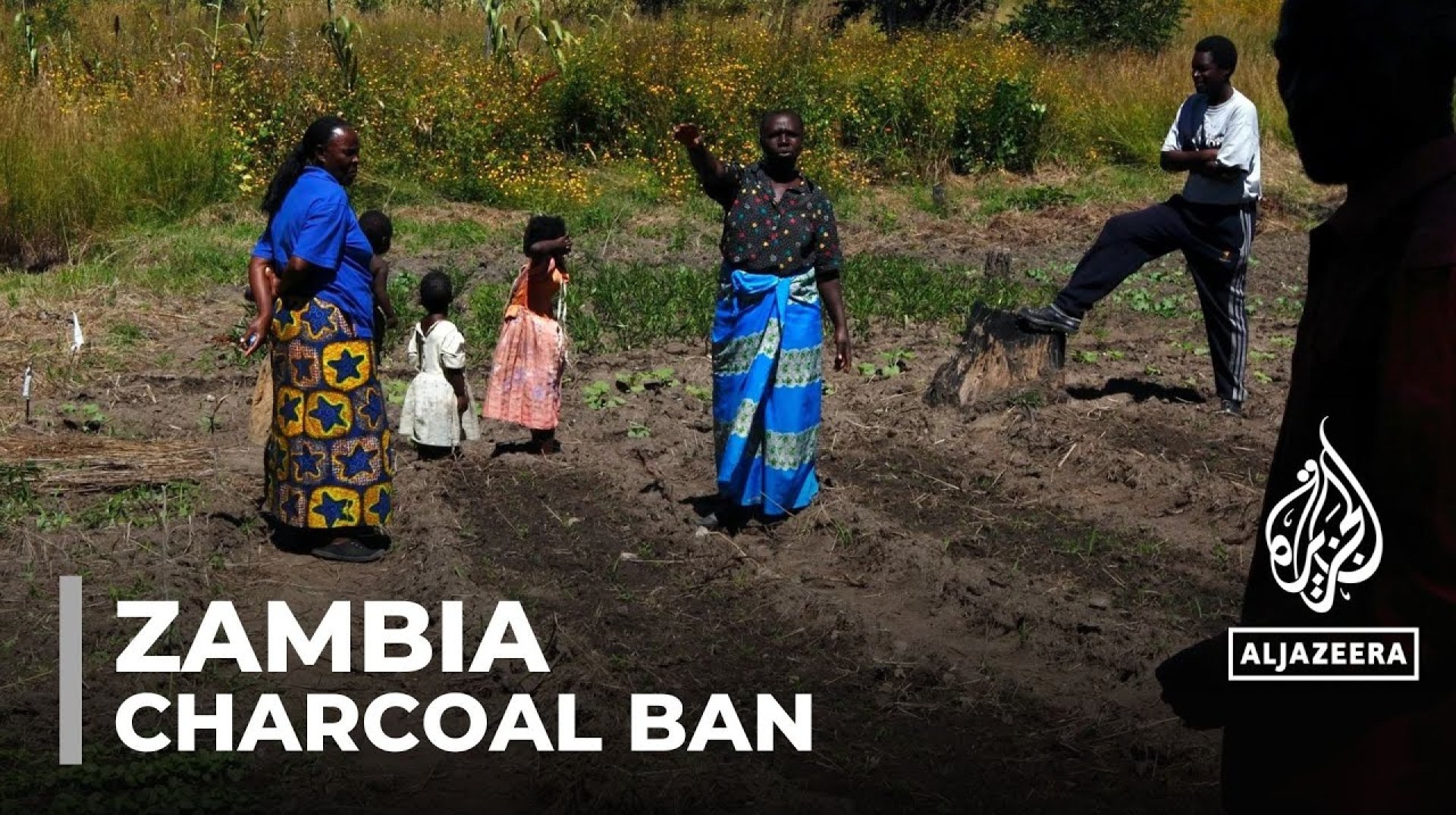 Zambia charcoal restriction: Livelihoods affected by ban Zambia charcoal restriction: Livelihoods affected by ban