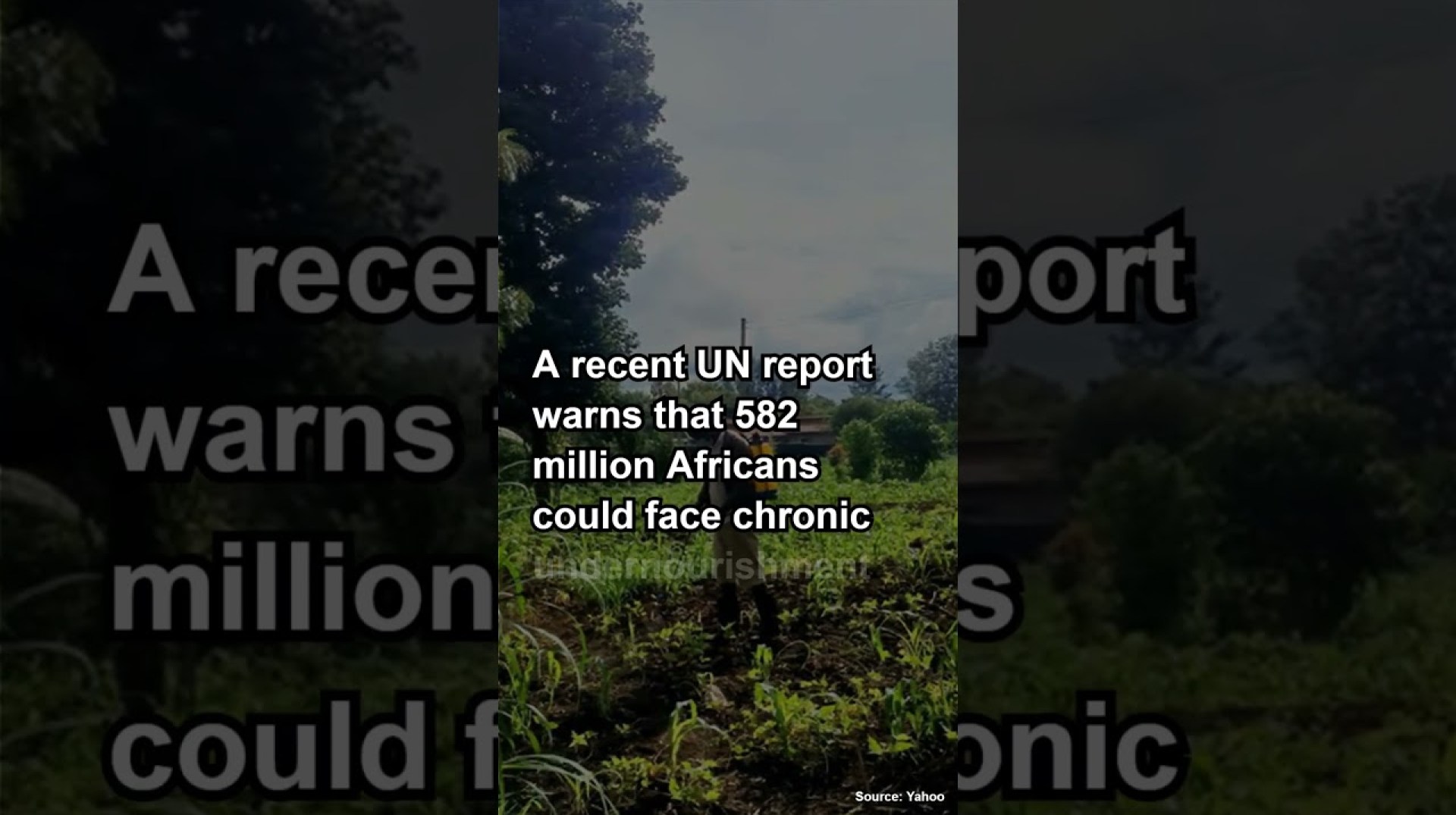 Africa’s Food Crisis Needs Innovative Funding, Urges UN Official #africanews #unofficial #crisis Africa’s Food Crisis Needs Innovative Funding, Urges UN Official #africanews #unofficial #crisis
