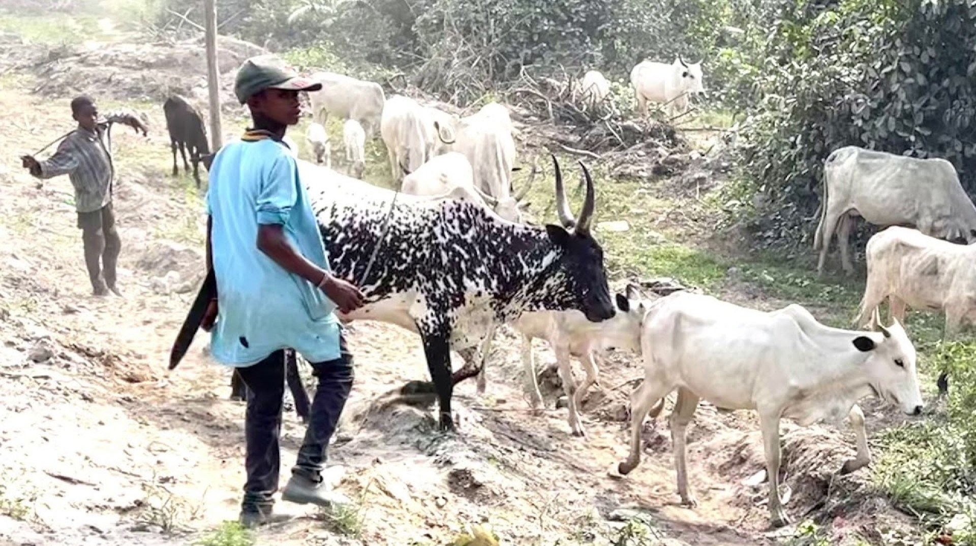 Esojayiludun Travels – Sights and Sounds of Nigeria Esojayiludun Travels – Sights and Sounds of Nigeria